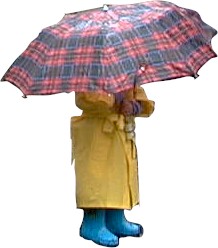 Wetter Reporter Regenschwammerl im Einsatz!